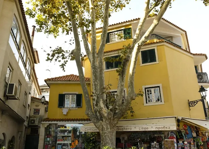 Flh * Cascais